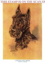 1933 scottish terrier for sale  SIDCUP