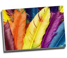 Abstract colorful feathers for sale  LONDON