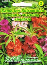 Kamelien balsaminen samen gebraucht kaufen  Wörrstadt