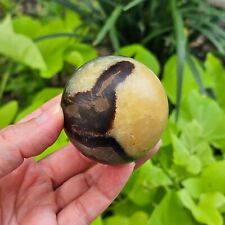 Septarian egg sphere for sale  Port Saint Lucie