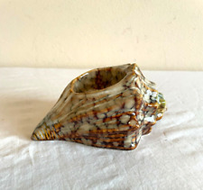 Ceramic shell seashell for sale  Saint Louis