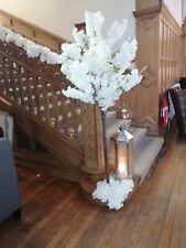 1.8m white blossom for sale  ALLOA