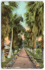 1913 CACAO FLORIDA*FL*PALM WALK*WASHINGTONIAN ROYAL & COCOANUT PALMERAS segunda mano  Embacar hacia Argentina