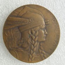 Jolie medaille gauloise d'occasion  Plombières-lès-Dijon