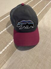 patagonia trucker hat for sale  Silver Spring