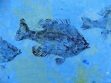 Three sunfish bluegill for sale  Factoryville