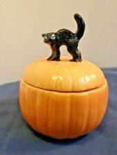Black cat pumpkin for sale  Avon