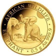 Goldmünze elefant african gebraucht kaufen  Erftstadt
