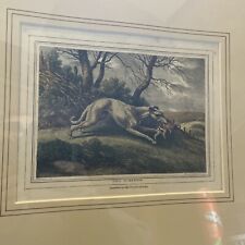 Antique print lurcher for sale  CROOK