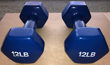 12lb Dumbbell  Dumbell.  2pcs.   12lbs each.  Blue for sale  Shipping to South Africa