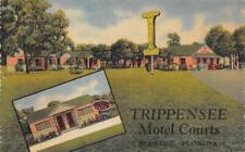 Sebring florida trippensee for sale  Surprise