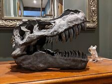 Tyrannosaurus rex skull for sale  HARROGATE