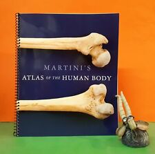 Usado, F Martini: Martini's Atlas of the Human Body (9a edición) anatomía/fisiología/atlas segunda mano  Embacar hacia Argentina