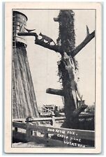Cartão postal vintage c1940 cão após raposa cabine casa escultura animal Lucas Kansas KS comprar usado  Enviando para Brazil
