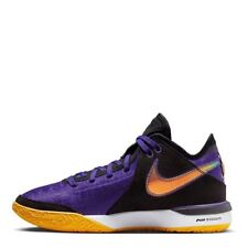 Nike zoom lebron for sale  MANSFIELD