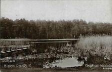 Black pond oxshott for sale  SHEFFIELD