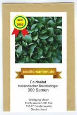 Feldsalat rapunzel holländisc gebraucht kaufen  Fürstenwalde/Spree