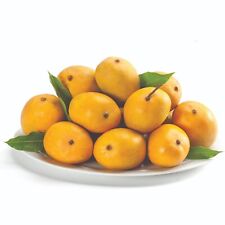 Mango fresh alphonso for sale  HARROW