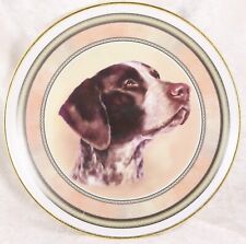 german shorthaired pointer for sale  CAMELFORD