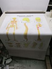 anatomy physiology for sale  Shipping to South Africa