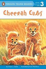 Cheetah cubs clarke for sale  Boston