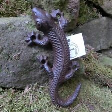 Salamander gecko echse gebraucht kaufen  Wuppertal
