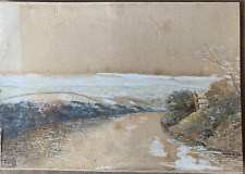 Late 1800 watercolour for sale  Lindenhurst