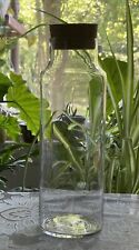 "Jarro de boticario de vidrio transparente de 10"" bote tapón de corcho terrario", usado segunda mano  Embacar hacia Argentina