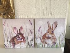 Rabbit prints framed for sale  MORECAMBE