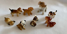Puppy dog miniature for sale  Westminster