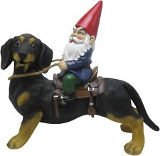 35cm gnome riding for sale  GRANTHAM