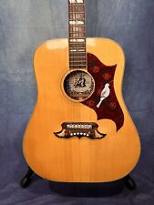 Alvarez 5024 dove for sale  Saint Paul