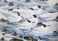 .sandwich terns. vintage for sale  NELSON