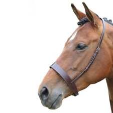 Blenheim caveçon cheval d'occasion  Expédié en France