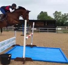 Show jumps large for sale  Shipping to Ireland