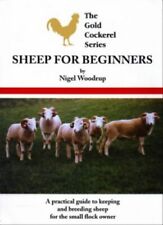 Sheep beginners woodrup for sale  UK