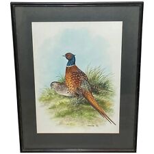 Watercolour pheasants moor for sale  CHESTER