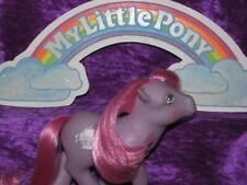 Little pony kleines gebraucht kaufen  Arnstadt