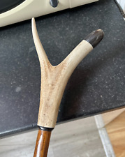 Deer antler walking for sale  MANCHESTER