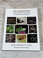 Grasshoppers allied insects for sale  LISKEARD