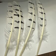 chicken feathers for sale  Jacksonville