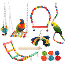 Pet bird parrot for sale  Fontana