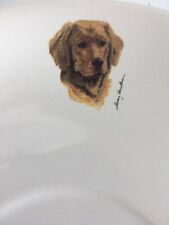 Golden retriever dog for sale  Nampa