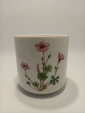 Spode stafford flowers for sale  STROUD