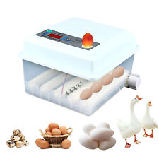 Eggs fully automatic for sale  Chino