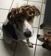 Mullet dog wig for sale  Lagrange
