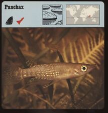 Panchax safari cards for sale  Waupun