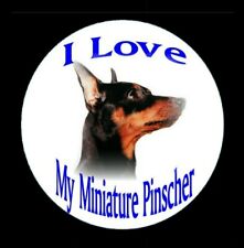 Miniature pinscher pinback for sale  Lithia