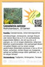Caesalpinia spinosa rothülsen gebraucht kaufen  Dresden