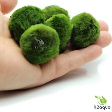 Moss balls 1extrafree for sale  HOUNSLOW